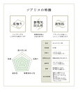 ペチコート ワンピース スリップ 静電気防止 レディース インナー 日本製 ソアリス スカート M L 丈100cm 110cm 120cm 全3色 (大きいサイズ 黒 白 インナースカート 透け防止 アンダースカート 静電気防止 裏地 インナーペチコート ) 送料無料