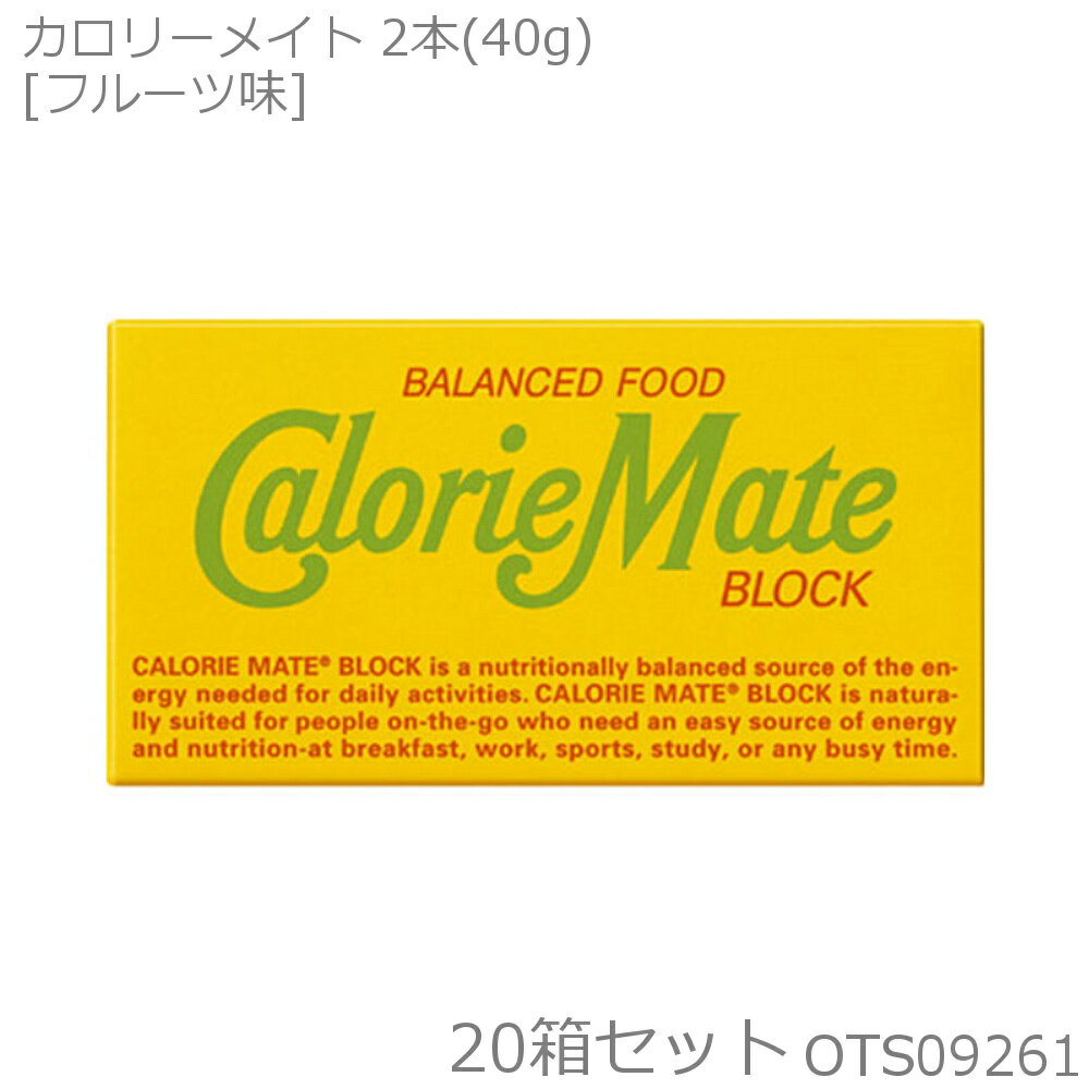 大塚製薬 カロリーメイト2B BLOCK TYPE 