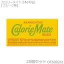 大塚製薬 カロリーメイト2B BLOCK TYPE 