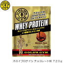 GOLD'S GYM ゴールドジム ホエイプロテイン チョコレート風味 720g F5572 83029(4)