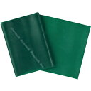 【トレーニング用具】【#TBB-3】Thera-Band(セラバンド)グリーン/ワンカットサイズ2M【強度:ヘビー】筋トレ リハビリ エクササイズバンド トレー...