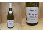 白:[2018]　ブルゴーニュ　コート・ドール　ブラン　"アントワーヌ"（カトリーヌ・エ・クロード　マレシャル） Bourgogne Cote d'Or Blanc "Antoine"（Catherine et Claude Marechal）