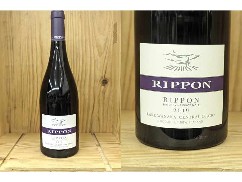 [2019]åݥޥ奢ԥΡΥRipponMatureVinePinotNoir