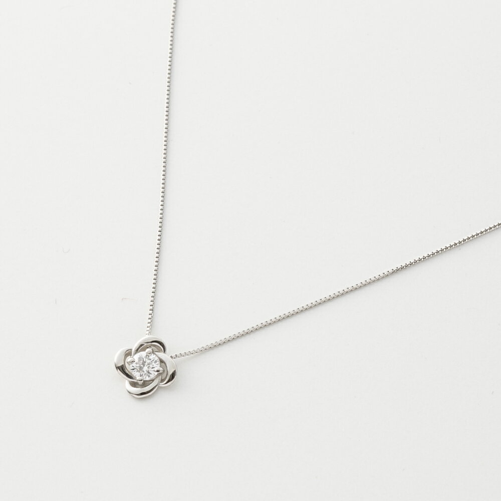 Rakuten - ジュエリー JEWELRY PT900 Dカラー 0.15ctUP ネックレス TR05402BK/PT　 　フィットハウス