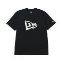【7月25日-7月27日限定★クーポン配布中】ニューエラ NEW ERA 半袖 コットン Tシャツ PAISLEY FLAG 14410107 フィットハウス