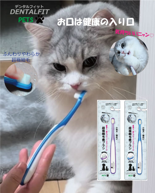 DENTALFIT PETS 超極細毛歯ブラシ　小型犬・猫向け　1本