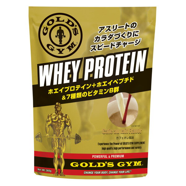 ۥץƥ ե̣720g[GOLD'S GYM_S ɥॵץ]