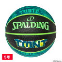 タートルズ TMNT ロゴ 5号球 [SPALDING スポルディング] バスケットボール