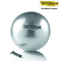 テクノジム バランスボール（55cm）WELLNESS BALL 【メーカー直送品】 [Technogym] トレーニング フィットネスインテリア