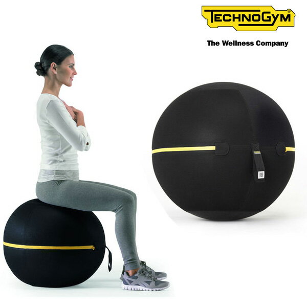 バランスボール テクノジム アクティブシッティング バランスボールチェア（55cm）WELLNESS BALL【メーカー直送品】 [Technogym] フィットネスインテリア