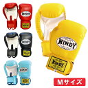 ◆格闘技キャンペーン◆ キッズ用ボクシンググローブ Mサイズ（小学校中 高学年用） WINDY ウィンディ BGVC 子供用グローブ