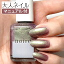 noiro マニキュア 【送料無料】【期間限定クーポン配布中】noiro ノイロ ネイルカラー S022 aurora drape 11ml 偏光 パール 春ネイル マニキュア 爪に優しい オーロラ パープル 冬ネイル 秋ネイル 偏光パール 紫