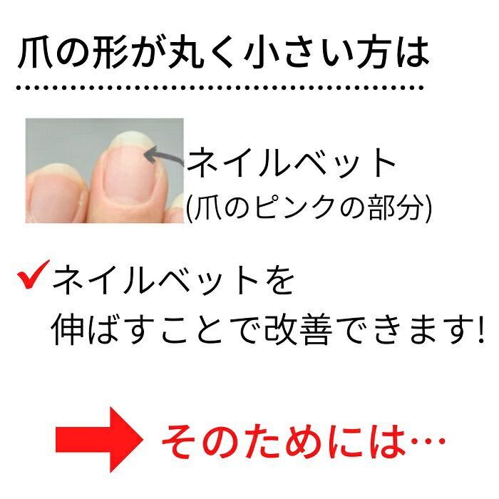短い爪のお悩みの方におすすめ 爪の育成美容液 Lcn アンティセプト8ml ネイルケア 爪保護 保湿 爪育成 ネイルベッド 伸ばす 健やか ハイポニキウム 育爪 ネイルプレート 特別セール品