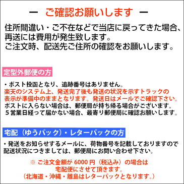 【送料込み】【BN51187583】ビーエヌ/ネイルシール BSC-08 ヒョウ柄ビビット ネイルシール 秋 冬 レオパード アニマル ひょう