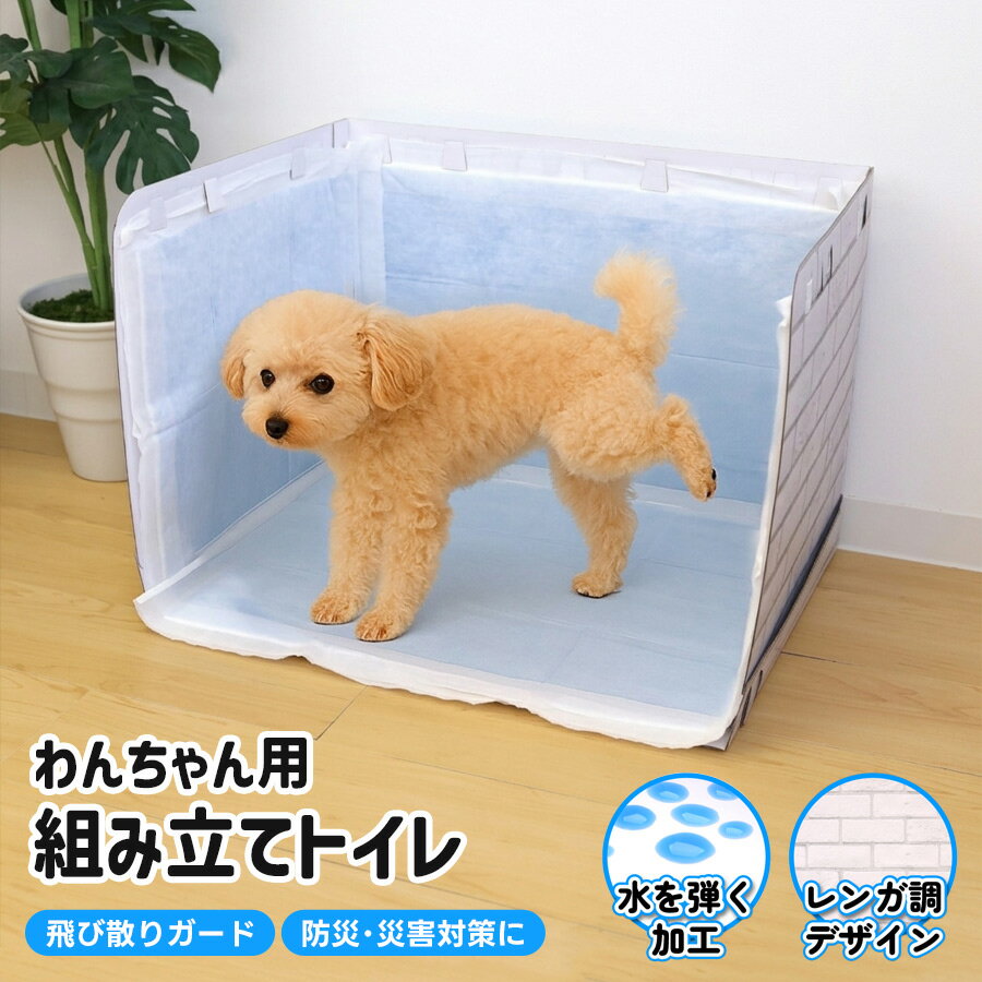 Rakuten - 犬用 わんちゃん用組み立てトイレ 足上げ対応 囲い付き 飛び散り防止 軽量紙製 工具不要 ペットトイレ 犬 猫 高齢犬 介護 防災 災害 避難所 ストック コンパクト収納 可燃ごみ 処理簡単 ワイドサイズシーツ対応 PallyPally サンベルム