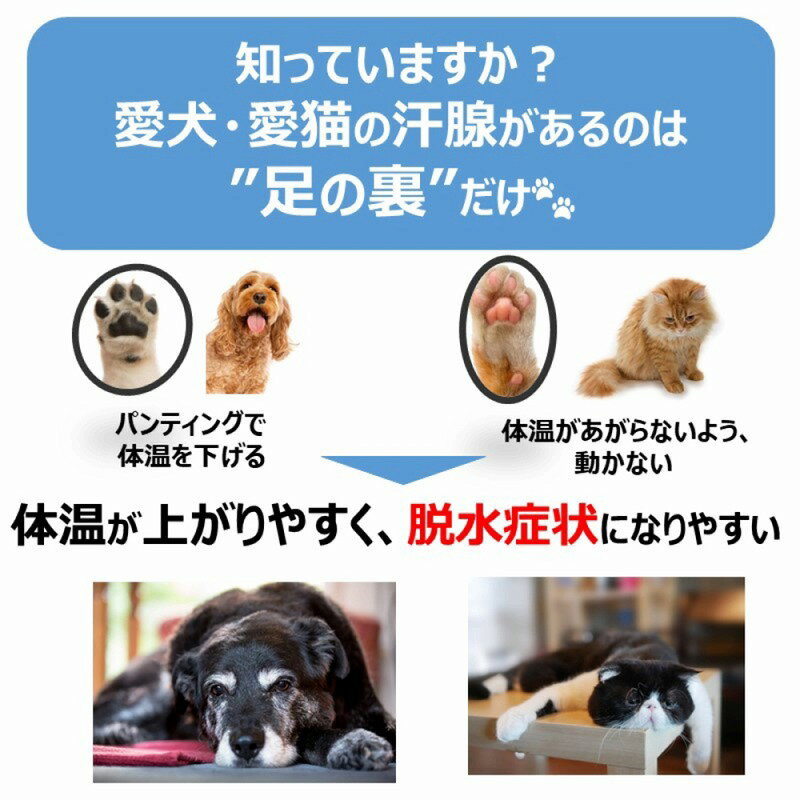 アースペット ペットスエット パウダー 10g(200mL用)x5本 犬 猫 ペット 栄養補完食...