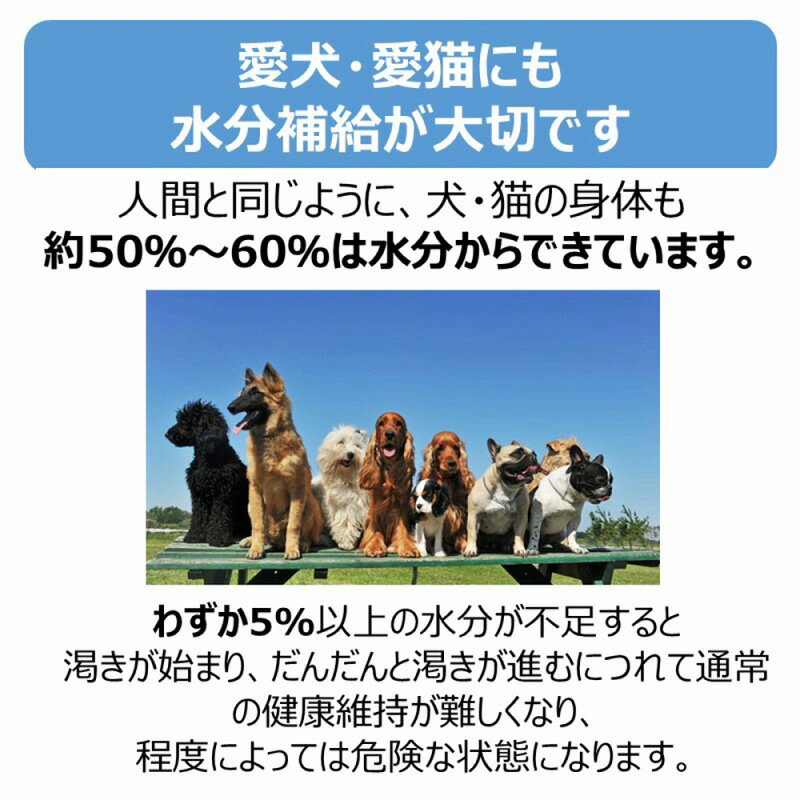 アースペット ペットスエット パウダー 10g(200mL用)x5本 犬 猫 ペット 栄養補完食...
