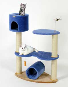 �y���������z�L���e�B�[�X�N���b�`�^���[�c�C���^���[�y���������z