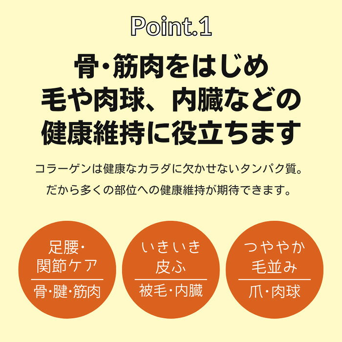 猫用サプリメント ニッピ あしたも遊ぼっ。160g 足腰 皮ふ 毛並み コラーゲン 非必須アミノ酸 日本産 獣医師共同開発 健康補助食品 5kgの猫約4ヶ月分【定量容器プレゼント】 five-1-10038987 ペットガーデン紀三井寺 サンプル画像3