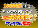 どど〜んとやっちゃいました!16000円相当の品物が入って・・4200円〜!!全部で16点も入ってま...