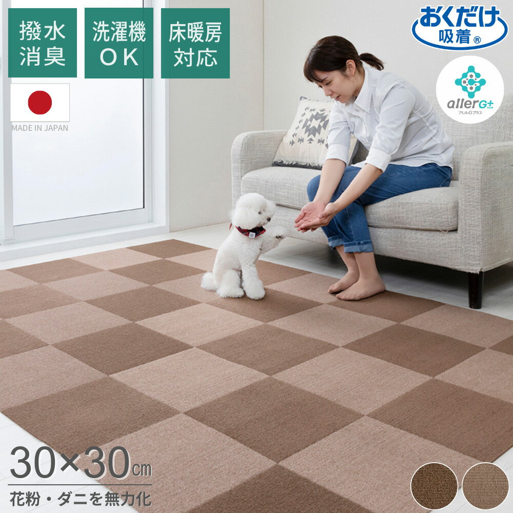 おくだけ吸着　撥水プレミアムマット 30×30cm 単色 花粉対策 ダニ対策 ハウスダスト対策 タイ