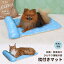 44%OFF 夏用 枕付き マット アイスびより ブルー 犬用 猫用 ペット クッション ベッド ひんやり 抗菌 防臭 清潔 かわいい 室内 暑さ対策 洗える 手洗い クールズ ドギーマン 811円