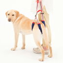 【送料無料 同梱不可】歩行補助ハーネス LaLaWalk STEP 中型犬・大型犬用 アイビー 2TE0003-85 高齢犬 シニア 散歩 後ろ足 介護用品 ラ...