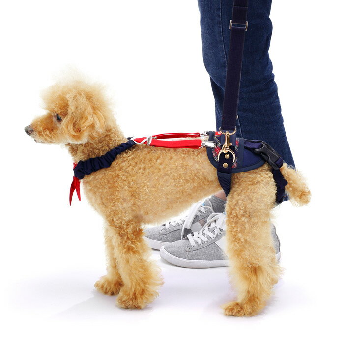 【送料無料・同梱不可】歩行補助ハーネス LaLaWalk ホールド 小型犬用 [チェックカーニバル] 2TE0102-85 高齢犬 シニア 散歩 後ろ足 介護用品 ララウォーク【メーカー直送・後払い不可・キャンセル不可・返品交換不可】