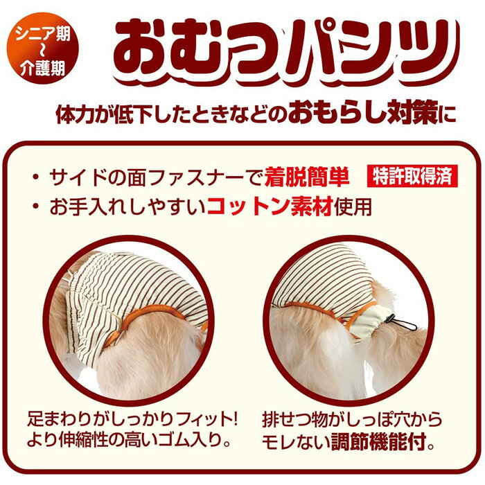 ペティオ　zuttone 老犬介護用　おむつパンツ　M（7kgまでの小型犬用） オス・メス兼用【ペット用介護用品】