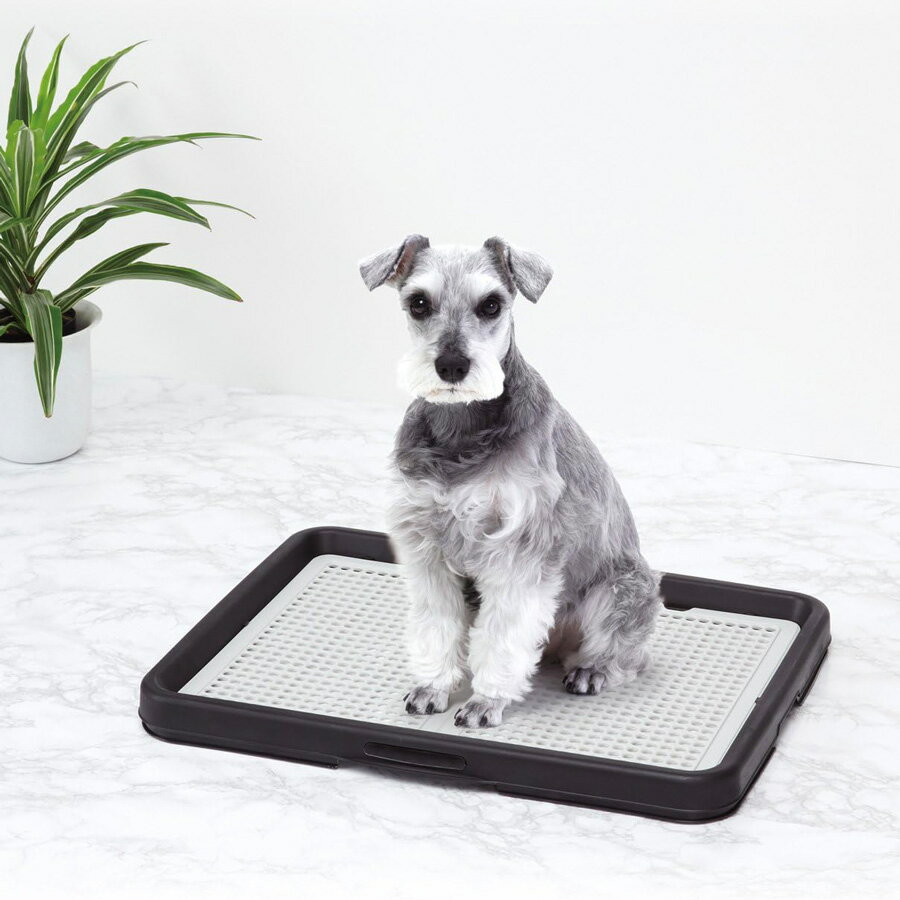 【50％OFF★在庫限り】 アドメイト わんトレー ブラック ワイド メッシュ 黒 シーツ破り いたずら 防止 ..