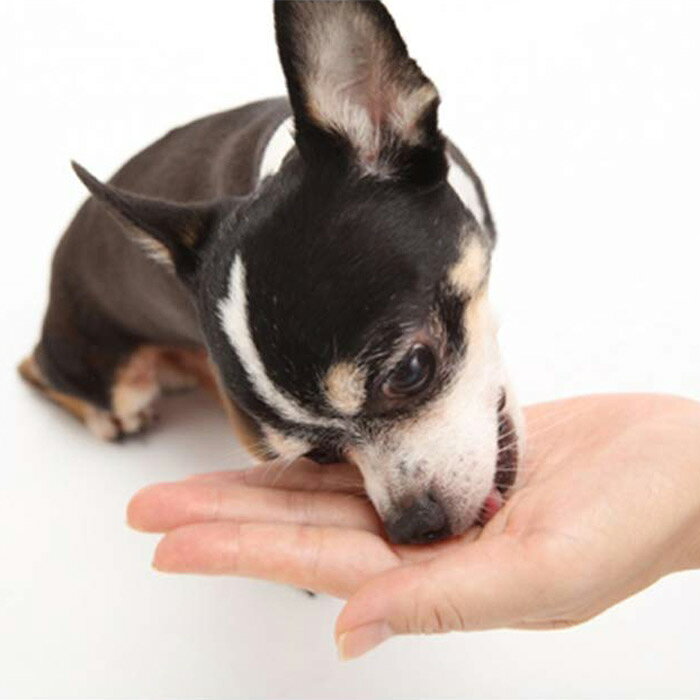 MediBall メディボール ビーフ味 犬用 15個入　投薬補助おやつ【3個までメール便可】