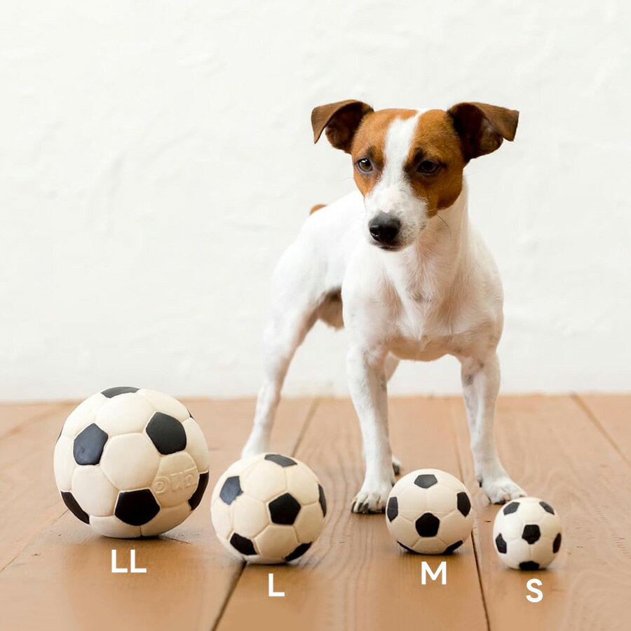 �� ������� LANCO ��� ���å����ܡ��� L������ ū���� ŷ������ ��ƥå����� ���襤�� ������ ��� ���ȥ쥹ȯ�� ���� �¿� �ץ쥼��Ȥˤ� DADWAY ���åɥ����� ��������