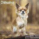 【80%OFF】ペット カレンダー 2025年 壁掛け 犬 ドッグ チワワ 海外輸入版 書き込み 犬種別 大判 暦 イギリス ペット フルカラー 写真