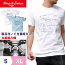 【19日限定!19%OFFクーポンで¥4366】【製品洗い洗濯縮なし!】 メンズ Tシャツ 半袖 プリント 厚手 丈夫 日本製 スマートスパイス| S~XL 全2色 綿100 アメカジ S M L LL 2L ホワイト 白 ブルー ティーシャツ 20代 30代 40代 50代 60代