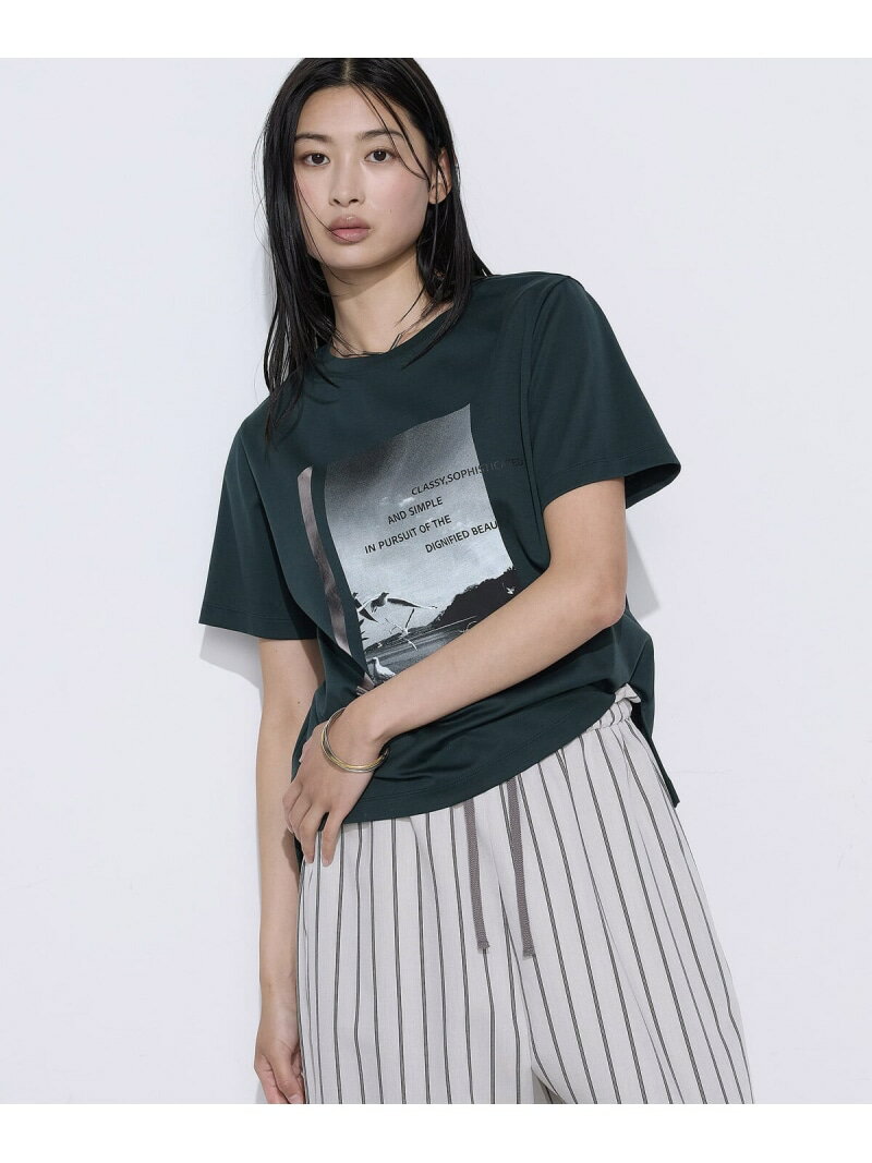 Rakuten - [ TALLサイズ ] スーピマコットンポンチ Tシャツ COMME CA TALL コムサ トップス カットソー・Tシャツ ネイビー グリーン ブルー ホワイト【送料無料】[Rakuten Fashion]