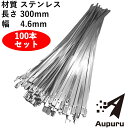 結束バンド 4.6mm×300mm タイラップ 304 ステンレス製 耐食性 耐酸性 耐高温 耐腐食 高耐久 100本 ステンレスバンド セット タイバンド 結束タイ 銀 シルバー 送料無料