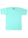PRO CLUB HEAVY WEIGHT S/S TEE-SEA FOAM GREEN【PRC1X-HWTST-SFG-MINT】
