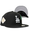 NEW ERA 59FIFTY CS DODGERS PALM TREE WS UV/GREY【12865191-BLACK】