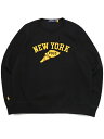 【SALE】【送料無料】POLO RALPH LAUREN DOUBLE KNIT MESH SWEATSHIRT【710880876001-D-BLACK】