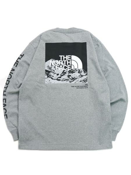 THE NORTH FACE L/S SLEEVE GRAP