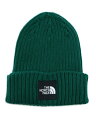 THE NORTH FACE CAPPUCHO LID【NN42035-TG-GREEN】