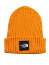 THE NORTH FACE CAPPUCHO LID【NN42035-AZ-ORANGE】