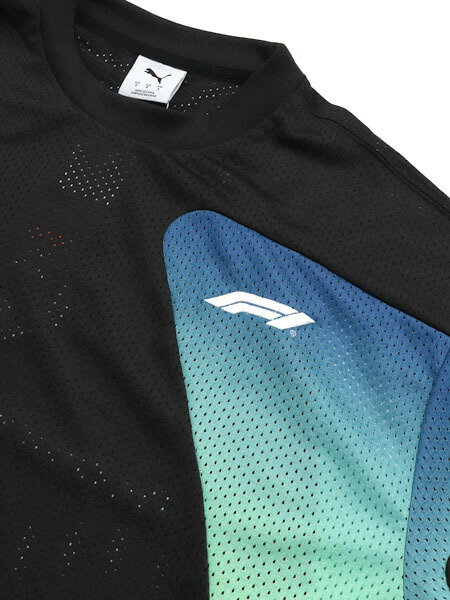 【送料無料】PUMA F1 OVERSIZED LS TEE-PUMA BLACK【631642-01-BLACK】