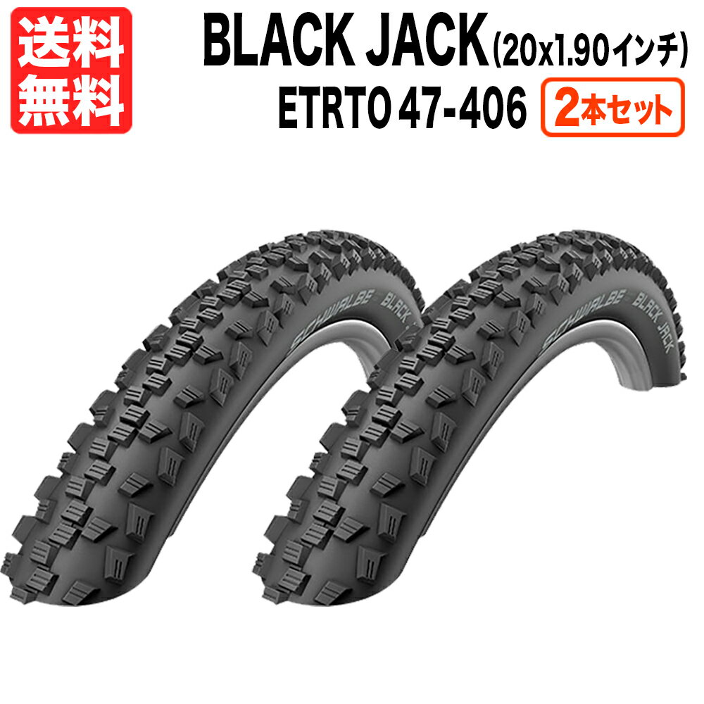 2本セット Black Jack 20 x 1.90インチ (ETRTO 47-406) シュワルベ ブラックジャック ブラック 黒 Schwalbe 小径 ミニベロ キッズバイク 送料無料