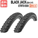2本セット Black Jack 26インチ (ETRTO 559) シュワルベ ブラックジャック ブラック 黒 Schwalbe 街乗り 送料無料