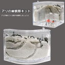 アリの巣 あり観察キット アリの巣観察キット アリ 巣 観察 飼育ケース 砂 自由研究 小学生 キット あり 蟻 飼育セット 実験セット 観察 工作 男の子 女...