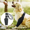 【PT10倍+10%OFFクーポン】犬用ヒップブレース 犬用ヒップサポート シニア犬用 高弾性レッグプ ロテクター付き 通気性バックレッグサポート 2309 父の日