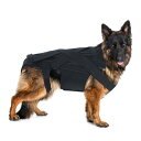 【PT10倍+10%OFFクーポン】ペット保護ベスト 脊椎 犬介護用 快適 耐久性 保護ベストドッグバックブレース 2309 父の日