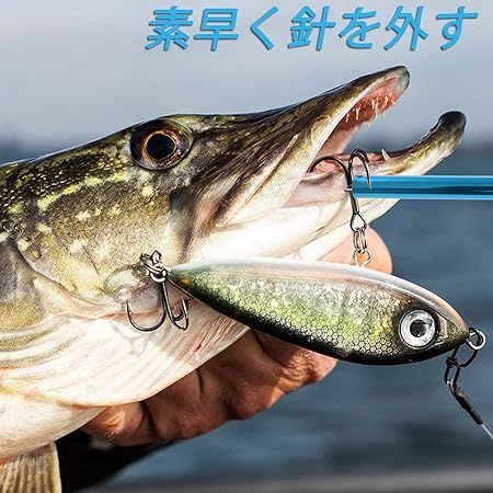 サンプル画像3