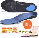 【楽天スーパーSALE10%OFF】インソール 扁平足 インソール インソール 衝撃吸収 アーチサポート 土踏まず 中敷き メンズ レディース インソール スポ...